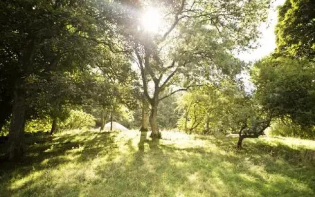 Rock Farm Slane - Glamping