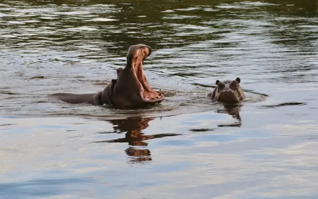 Rainbow River Lodge