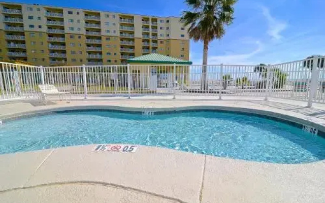 Plantation Palms 6408