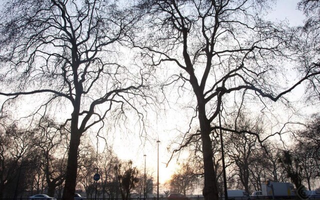 JOIVY Beautiful 2 bed apt in Mayfair, close to Tube