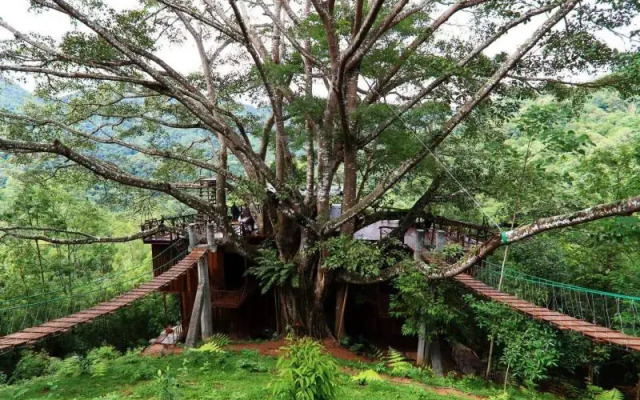 The Giant Chiangmai