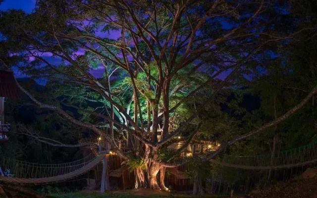 The Giant Chiangmai
