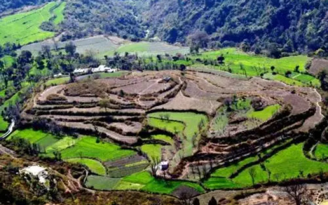 Maya Regency Bhimtal
