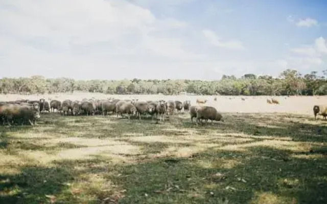 The Cottage at Bolobek