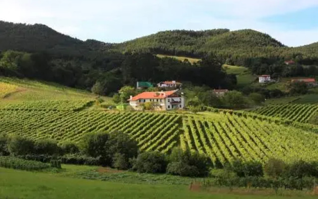 Agroturismo Basarte Baserria