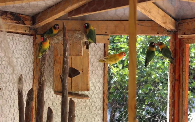 Alojamiento Rural Casa Quinta Peumayen