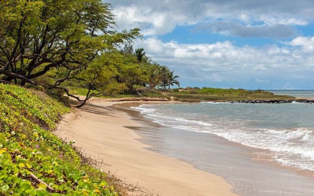 Waiohuli Beach Hale #D-119