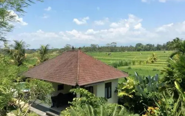 Ubud Rice Field Villa