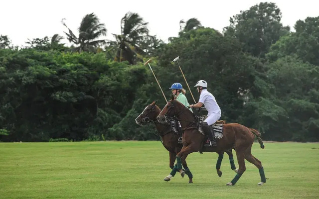 Bellevue Plantation & Polo Club