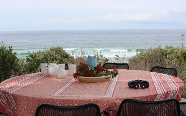 22 ON COAST - (Weekly Only)