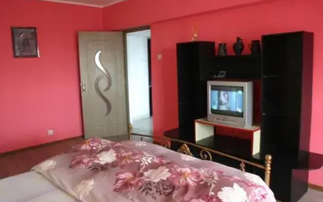 Salonul Rosu