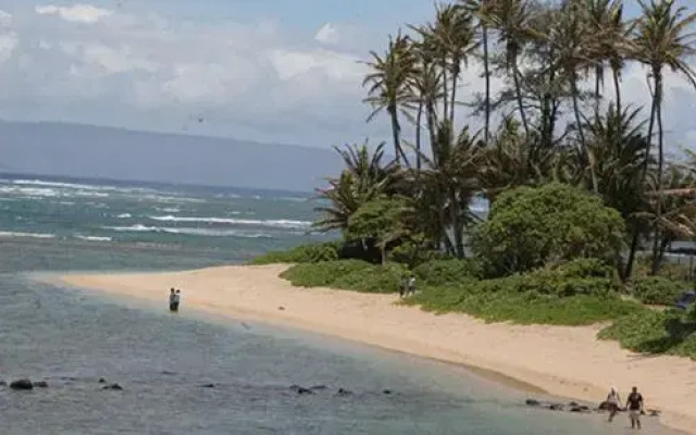 Molokai Shores 121