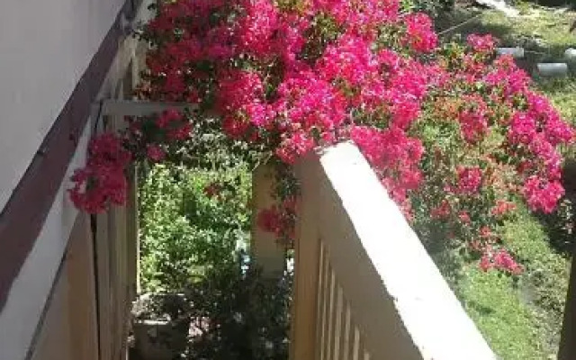 Hostal Doña Irma Bocas