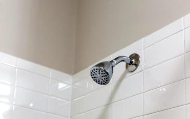 Stay Alfred on Morehead