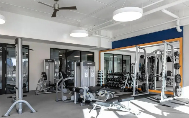 Stay Alfred on South 4th Street