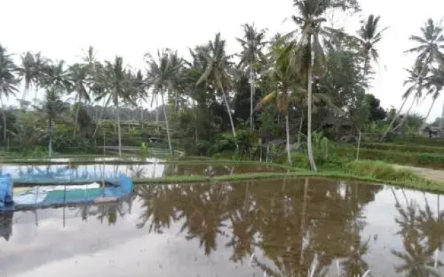 Hana House Ubud
