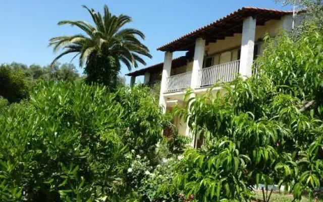 Petros Studios