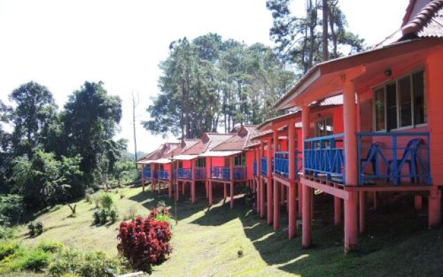 Mae Salong Resort