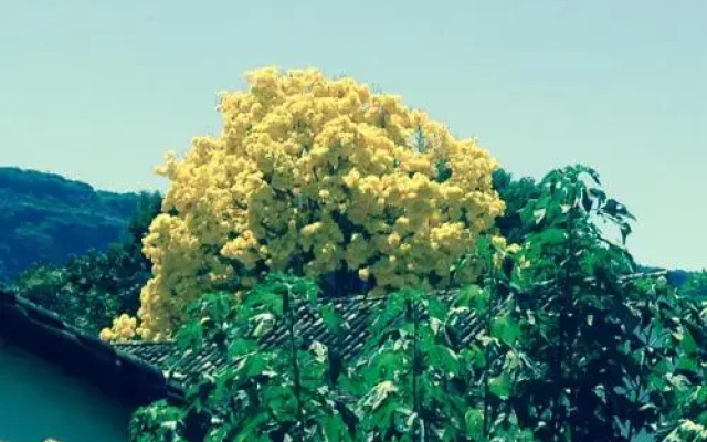 Pousada Quinta da Esperança