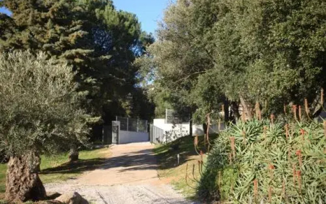 Villa Hote Lux