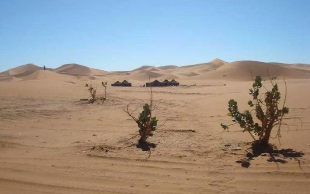 Bivouac Dunes de Chegaga