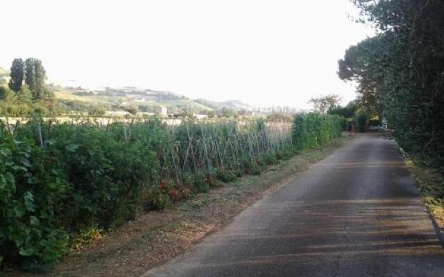 Il Giardino di Mavi