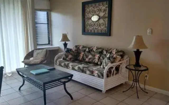 Pineapple Delight - 1 Br Condo