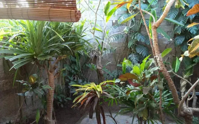 Hoky Homestay Amed