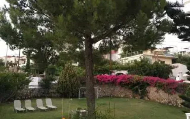 Costmari