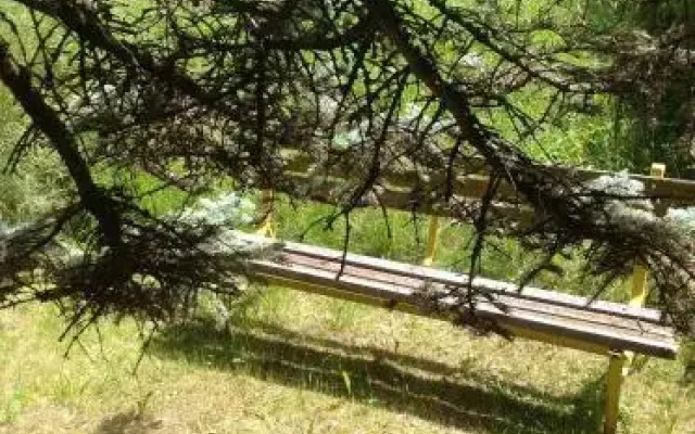 Maso nel cuore del cermis e Dolomiti