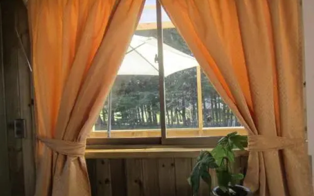 Cabañas Tu Bosque