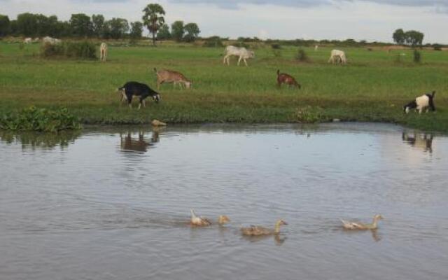 The Siem Reap Countryside