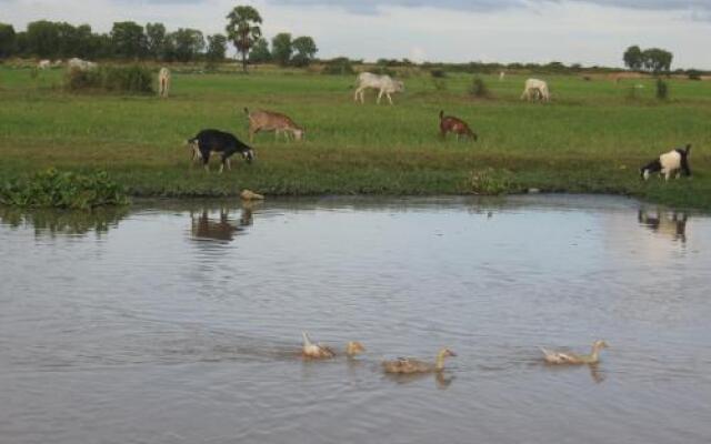 The Siem Reap Countryside