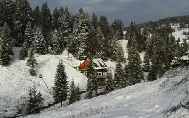 Cabana Cota 1000 Arieseni