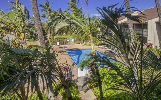 Kihei Bay Vista #C-206