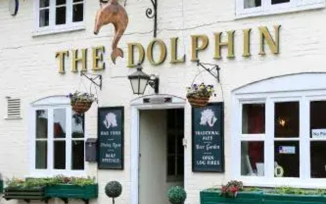 The Dolphin