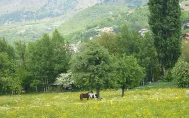 Le Nid de Saint Ours