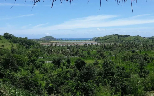 Lombok Hill Wiolett