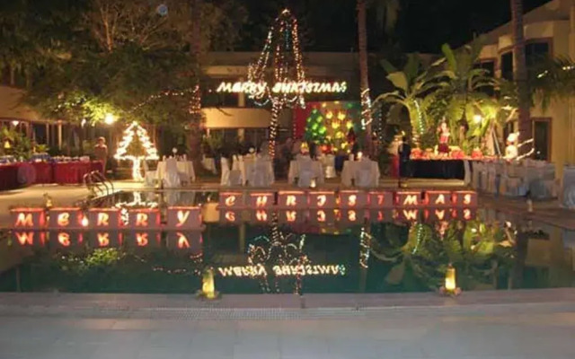 Mandalay Swan