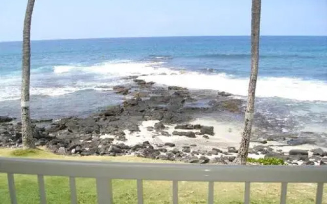 Kona Reef A15