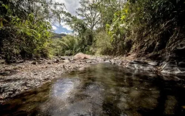 Hotel La Selva Agroecologica