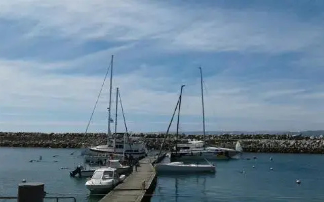 Regatas de algarrobo