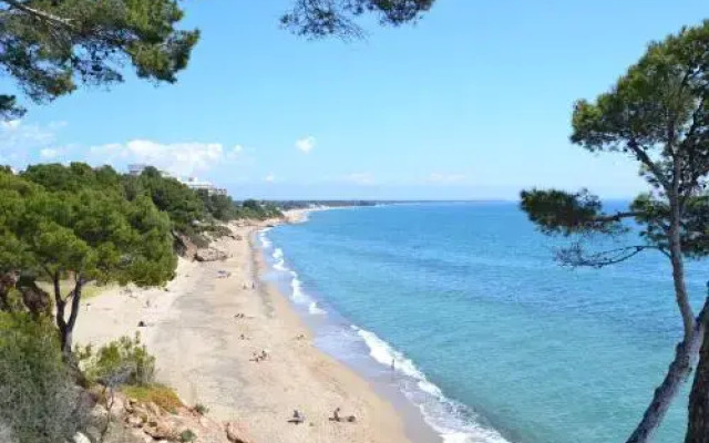 WVP - La Caleta