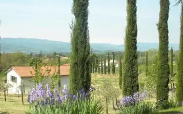 Azienda Agricola il Chiuso