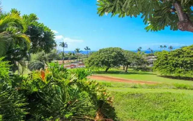 Wailea Ekolu #203
