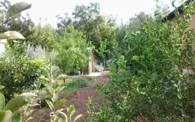 Villa Alma