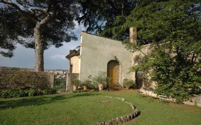 Le Camelie