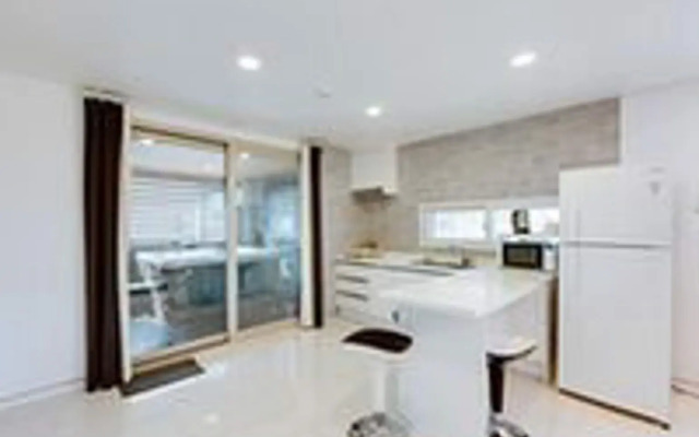 Gapyeong Elsa Spa Pension