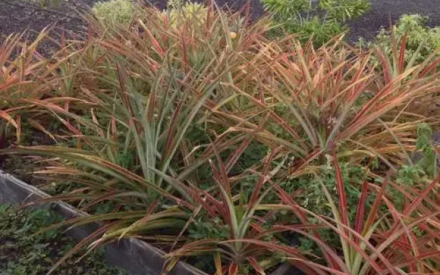 Million Dollar View in Gated Community