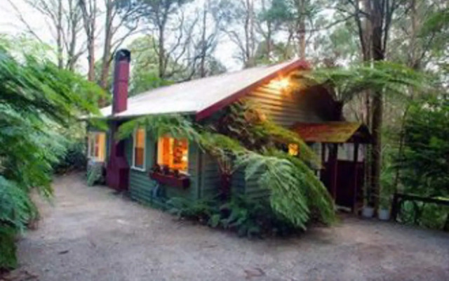 A Cottage in the Forest